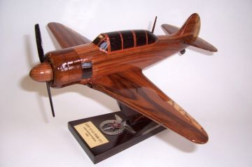 Airplane model Yakovlev Yak-11 trainer aircraf